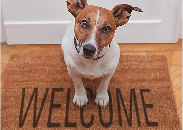 Barbacan Boutique ترييستي